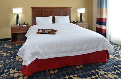 Hotel Hampton Inn And Suites Lynchburg