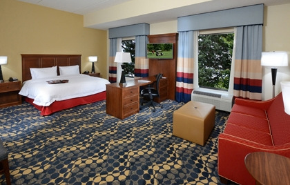Hotel Hampton Inn And Suites Lynchburg