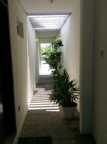 Apartamento Residencial Vila Vit�ria
