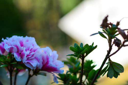 Hostal Pousada �gape