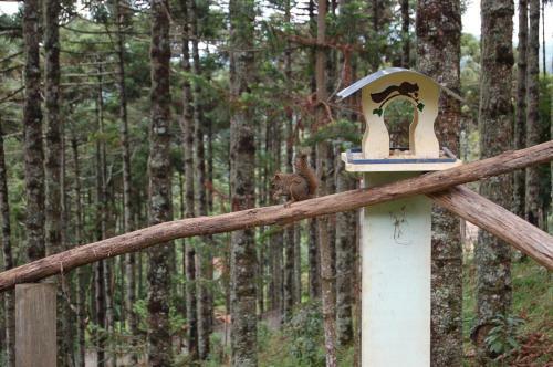Hostal Pousada �gape