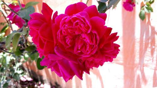 Posada Morada Recanto Das Flores