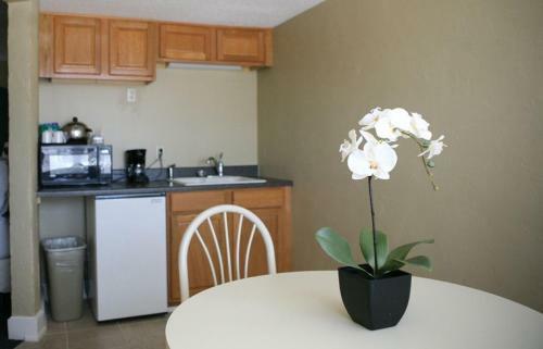Hotel Senate Luxury Suites