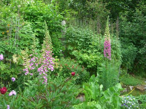 Brigitte's Bavarian Bed Und Breakfast
