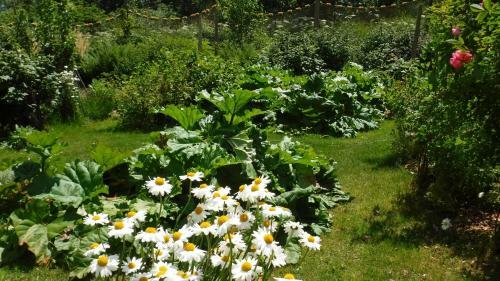 Brigitte's Bavarian Bed Und Breakfast