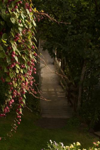 Brigitte's Bavarian Bed Und Breakfast