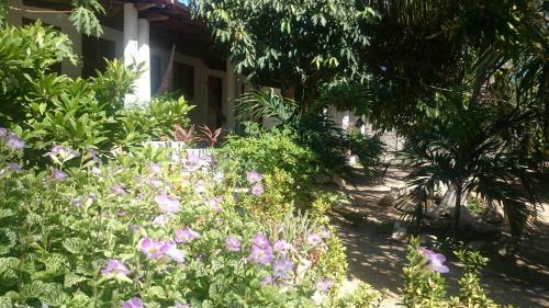 Hostal Pousada Mar�