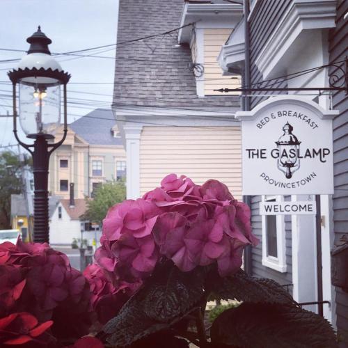 Bed & Breakfast Romeo's Holiday & Spa