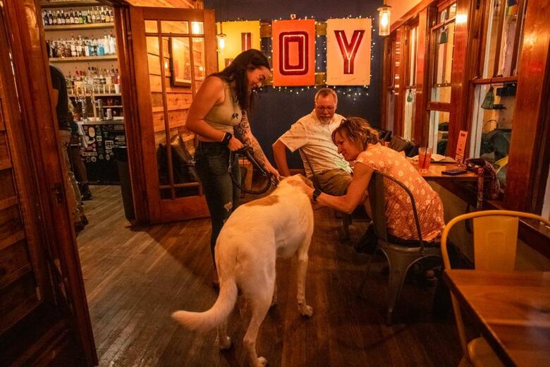 The Joy Motel