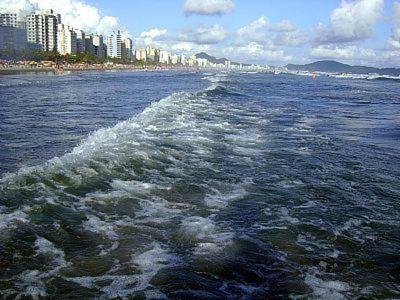 Apartamento A 100m Da Praia