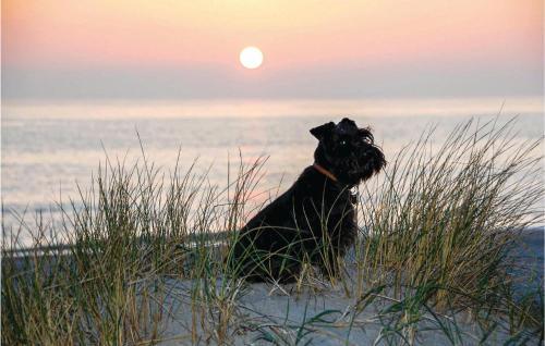 Holiday Home Risbusken Hvide Sande X