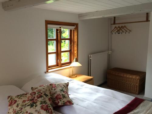 Hostal Villa Zira