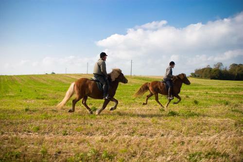 B&B Tiendegaarden M�n