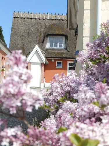 Posada Bakkegaard M�ns Klint