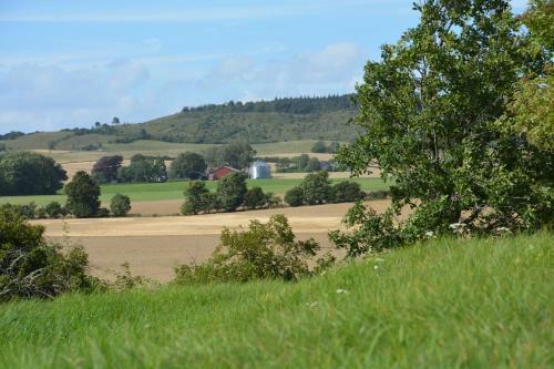 Apartamento Haveh�jegaard