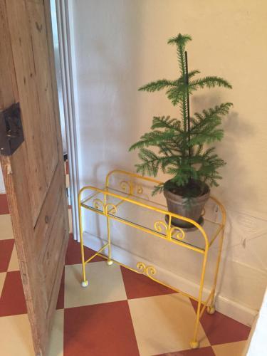 Bed & Breakfast Alsbrogaard