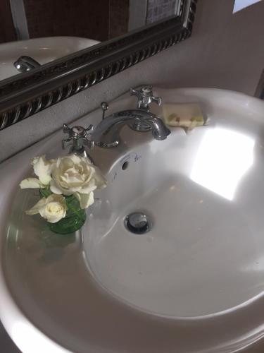 Bed & Breakfast Alsbrogaard