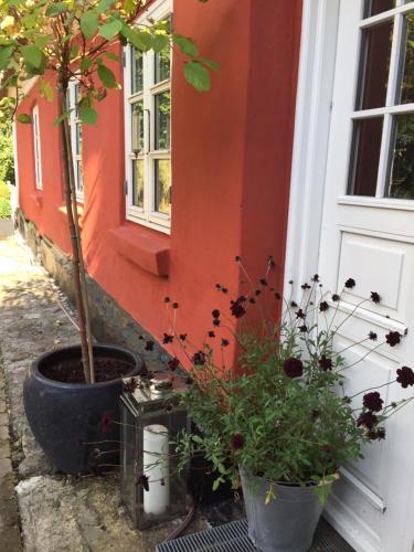 Bed & Breakfast Alsbrogaard