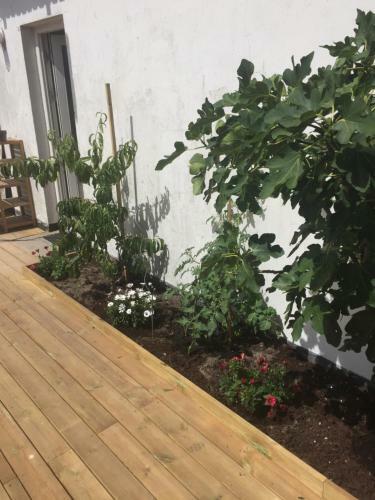 Bed & Breakfast Molino
