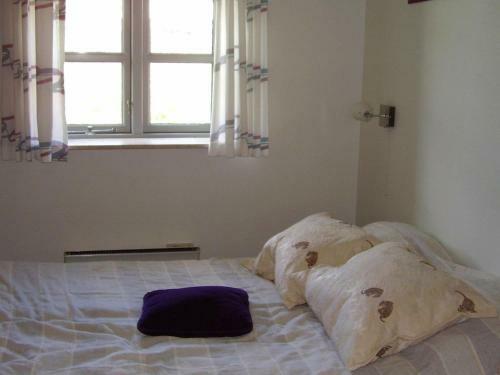 Three-bedroom Holiday Home In Dannemare 9