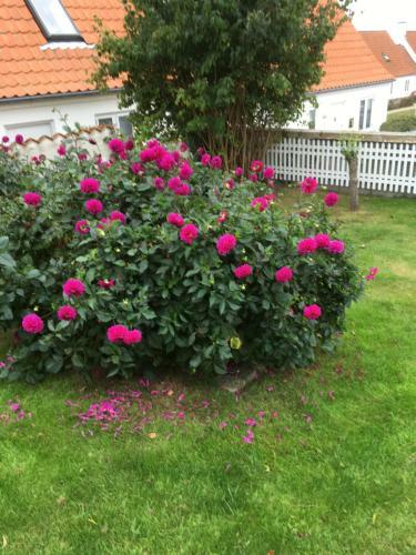 Bed & Breakfast Ebeltoft-rooms