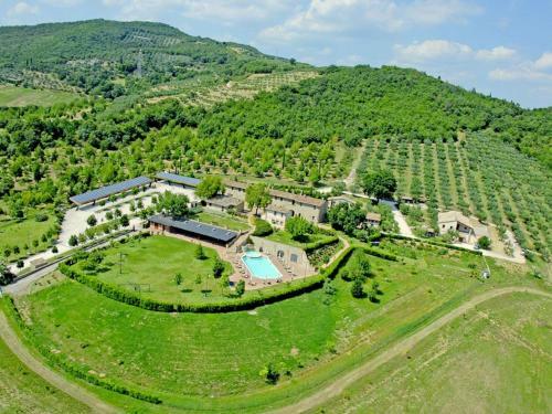 Agello Magione - Gelso
