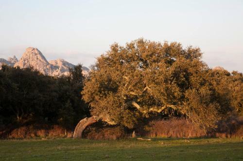 Hostal Locanda Li Manni