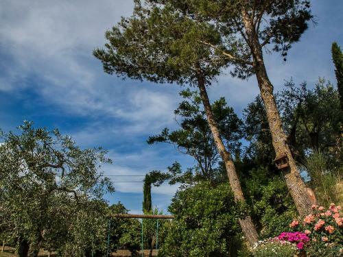 Apartamentos Locazione Turistica Allerona.3
