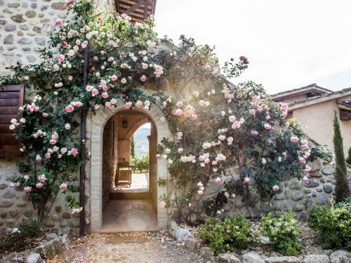 Apartamentos Locazione Turistica Allerona.3