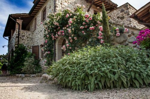 Agroturismo Belvedere Delle Crete