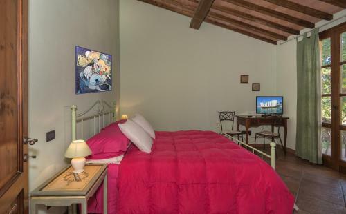 Bed & Breakfast Pisa Holidays