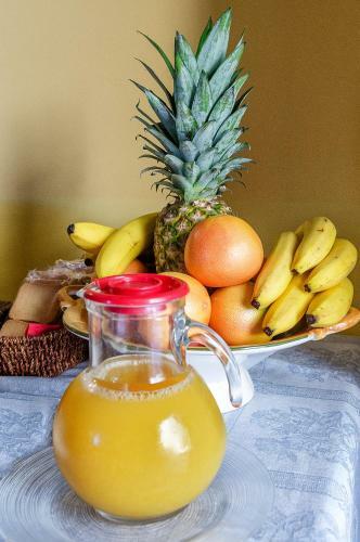 Bed & Breakfast Pisa Holidays