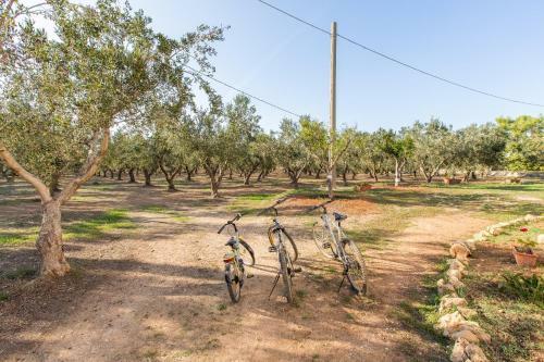 Agroturismo Villa Prisuddi