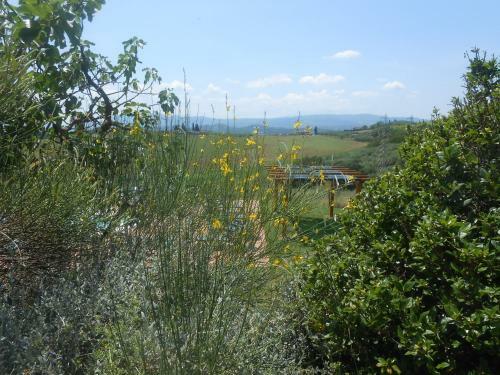 Agroturismo Agriturismo Borgo Del Papa