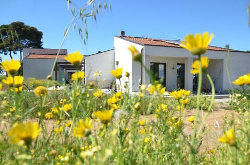 Apartamento Le Caramelle Di Baratti