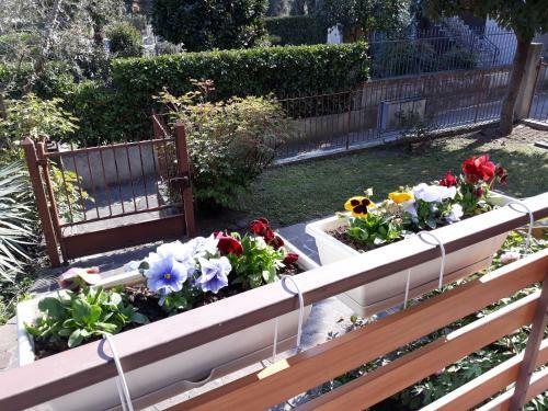 Apartamento Casa Vacanza Al Canton