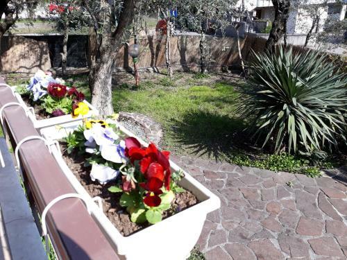 Apartamento Casa Vacanza Al Canton