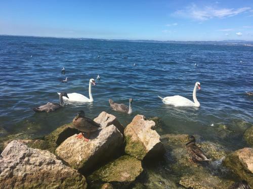 Apartamento Cab� Holiday Bardolino