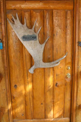 Lodge Moose Cabin
