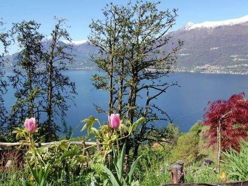 Apartamento Bellano Settecentocinque