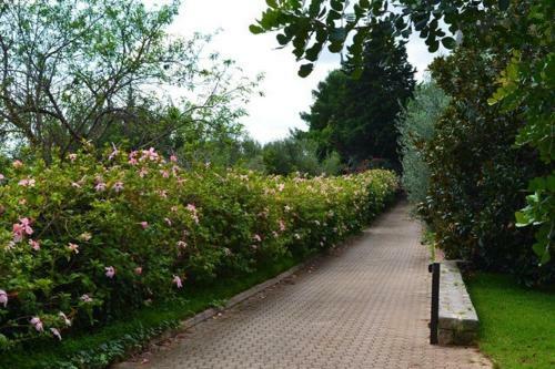 Hostal Eurialo Green Suites