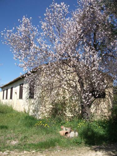 Agroturismo Case Del Feudo Di Pietro Beneventano