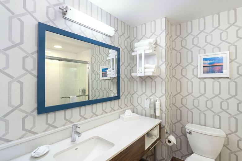 Hotel Hampton Inn Buffalo-south/i-90
