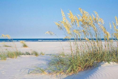 Hotel Shell Island Resort - All Oceanfront Suites