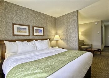 Hotel Comfort Suites Fernley
