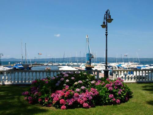 Giardini Del Lago / Maris