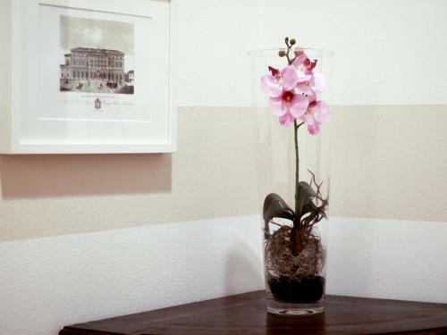 Hostal Casa Isolani, Piazza Maggiore