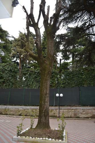 Bed & Breakfast Porte Di Bologna