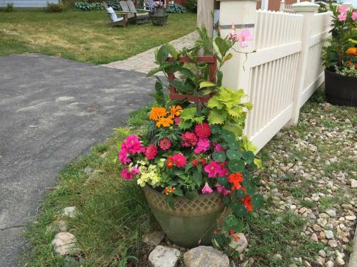 Harrington House Bed & Breakfast