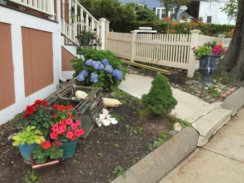 Harrington House Bed & Breakfast
